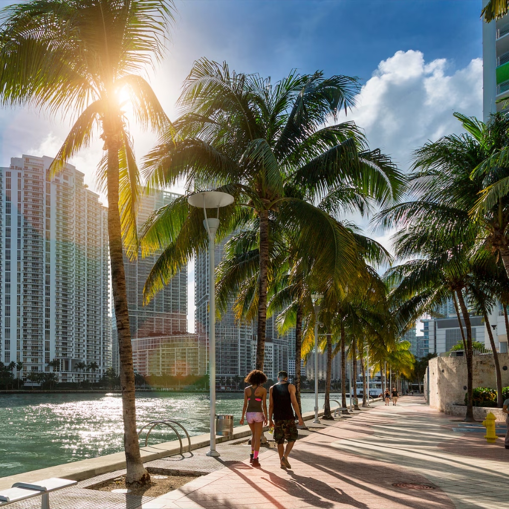 Paseo junto al agua en Miami con palmeras